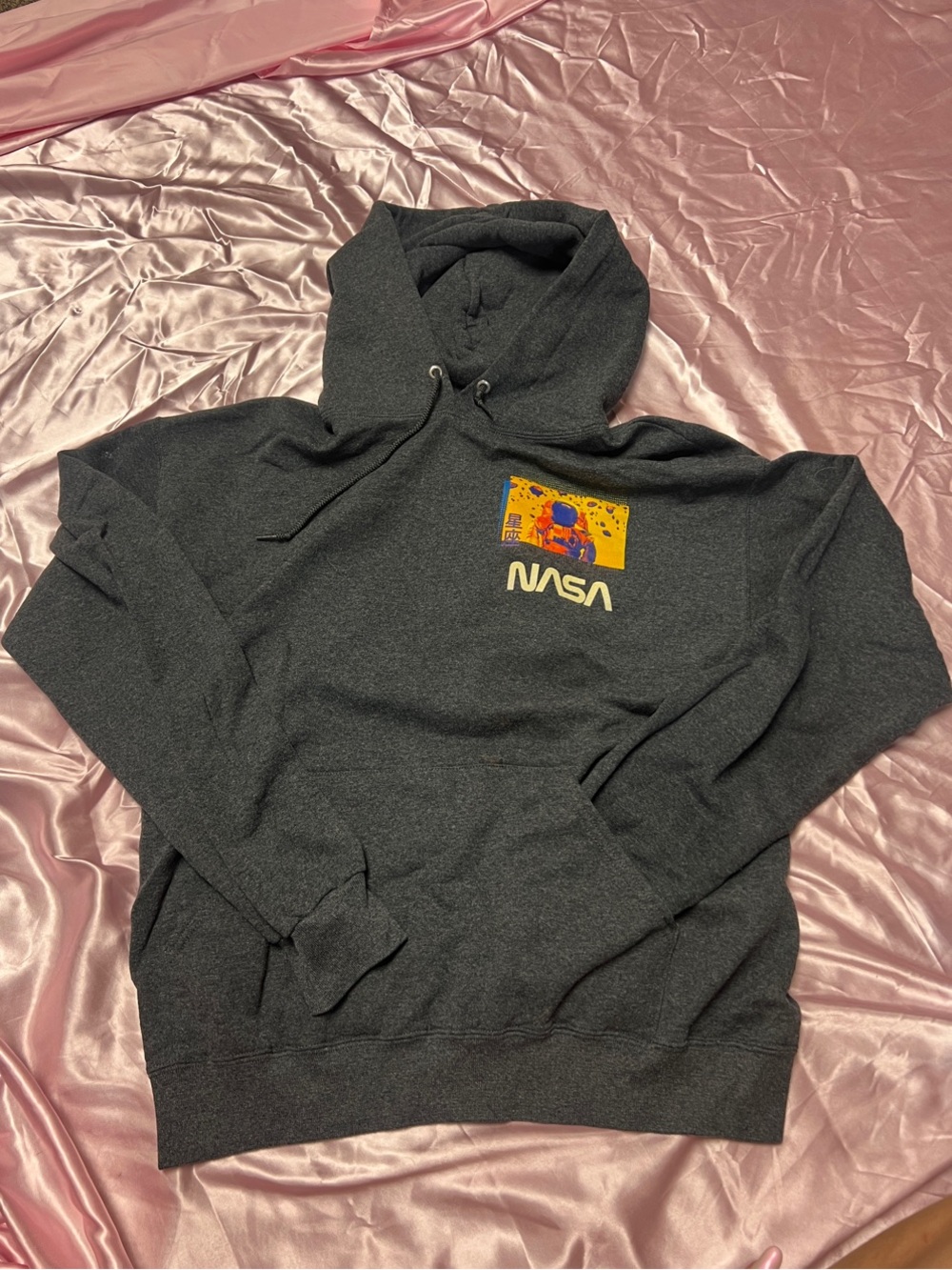 NASA Logo Charcoal Hoodie - Graphic Sweatshirt